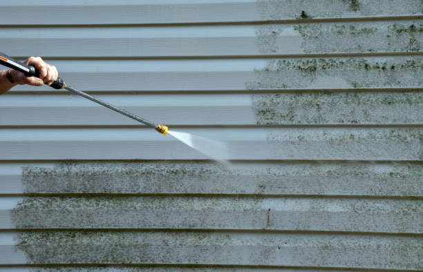 Best Mold Damage Repair  in Montgomery Village, MD
