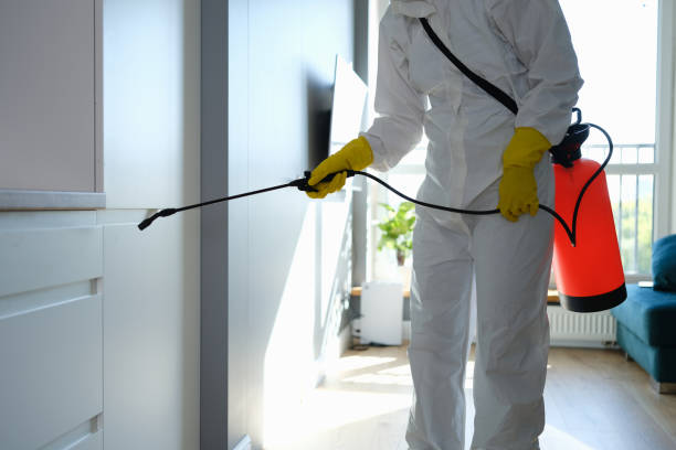 Best Mold Removal Company Near Me  in Montgomery Village, MD