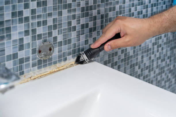Best Affordable Mold Removal  in Montgomery Village, MD