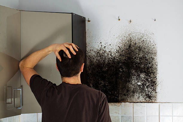 Best Office Mold Removal Services  in Montgomery Village, MD